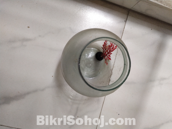 Round Fish Bowl Jaar